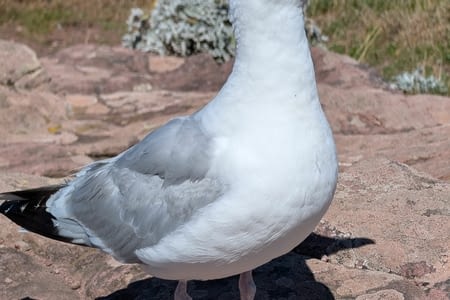 Blog en retard, oui, mais du très lourd à venir...