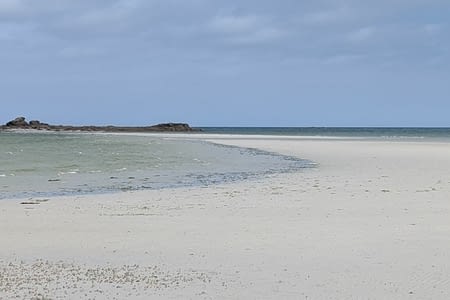 Camargue, Maroc ou Bretagne ??