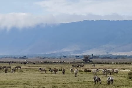Cratère ngorongoro