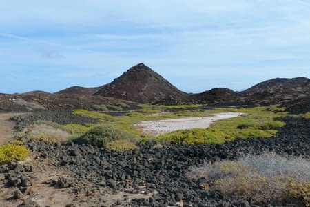 Courte escale à Isla de Lobos
