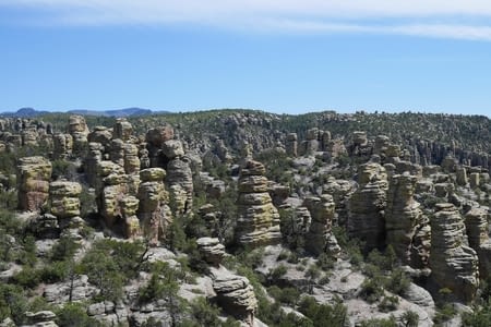 Chiricahua