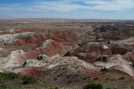 Painted desert / Petrified forest / Meteor crater