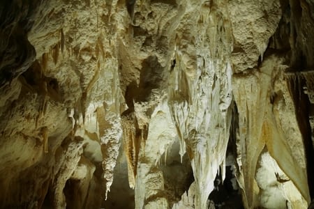 Waitomo caves