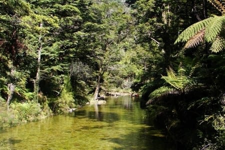 Abel Tasman Coastal Walkway