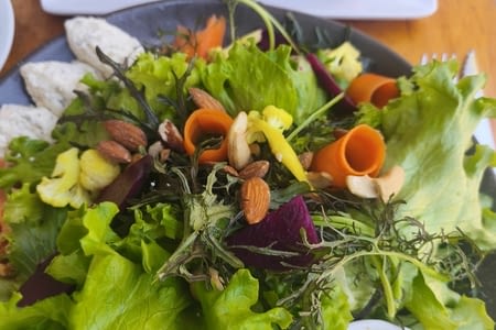 Premiers pas au Chili