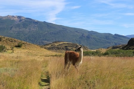 En route pour l’Argentine