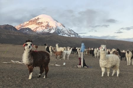 Bolivie