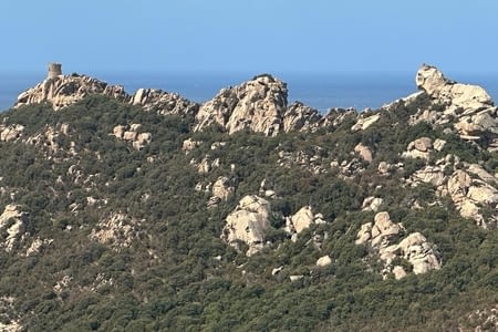 Tour génoise de Roccapina