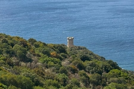 Tour génoise de Capannella