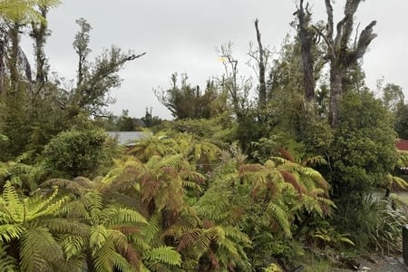 Que faire à Franz Josef par temps de pluie …
