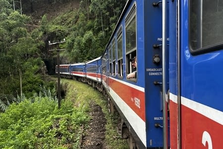 Un train nommé désir