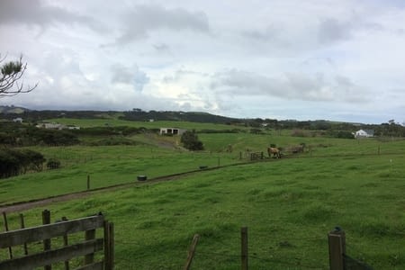 6eme WWOOFing: Muriwai