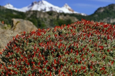 Randonnées à El Chalten - jour 3