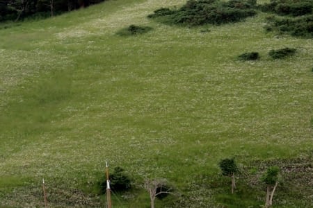 Interlude à Port Albert