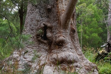 LA VALLÉE DES GÉANTS