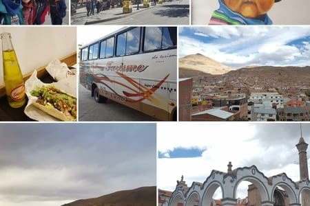 J.167 (13.06) : squelettes de bébés lamas et mega-burritos.