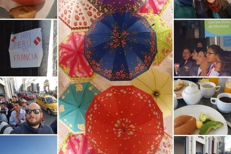 J.175 (21.06) : guacamole au pdj, match France-Pérou et « récupérage » de tante.