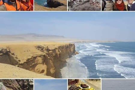 J.187 (03.07) : super combo animalier.