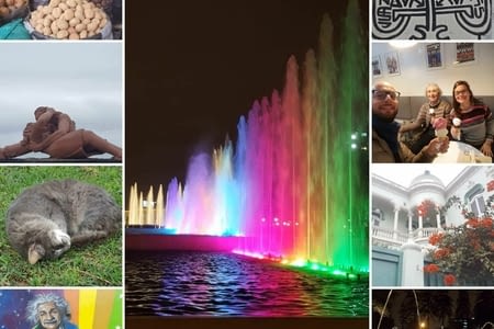 J.191 (07.07) : marché, parc des chats abandonnés et fontaines lumineuses.