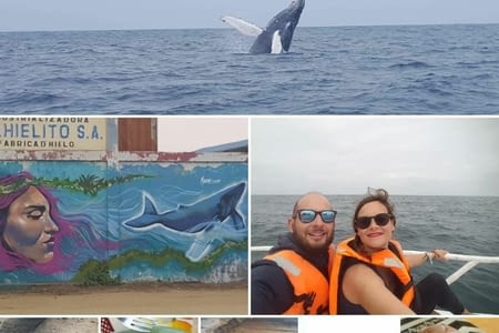 J.204 (20.07) : observation des baleines & ceviche de poulpe.