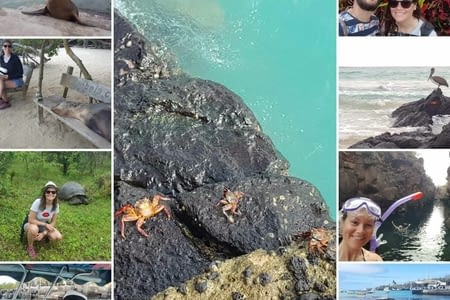 J..213 (29.07) : baignade matinale, tortues géantes et changement d'île.