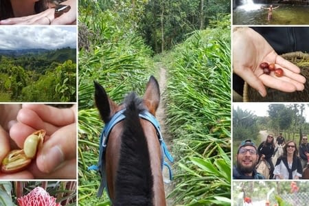 J.224 (09.08) : cheval en liesse & piqûre sur les fesses.