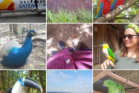 J.244 (29.08) : les animaux fantastiques de la Macarena.