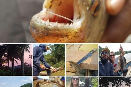 J.250 (04.09) : la chasse aux piranhas.