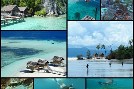 Plouf dans l'aquarium