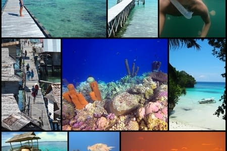 Ils nagèrent et virent beaucoup de poissons