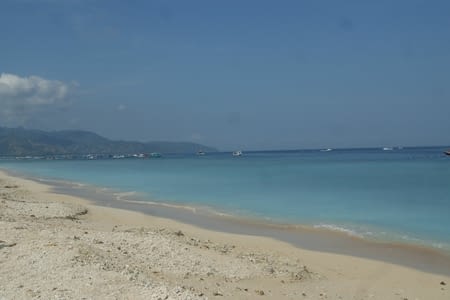 les Robinsons explorent leur île