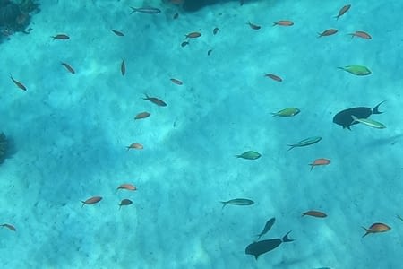 visite des fonds marins