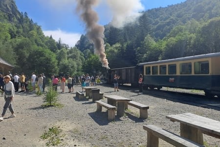 Le train des bûcherons à  Viseu de Sus