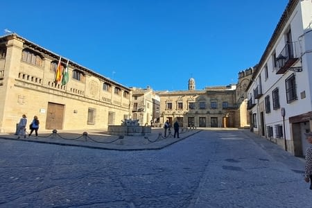Visites de la Madinat Al Zahra et de la ville de Baeza