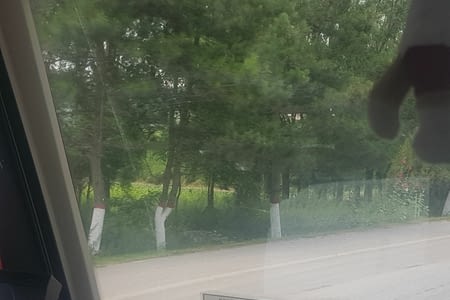 29 juillet: Pingliang-Yongjing