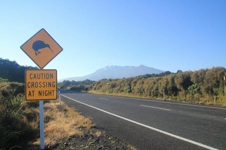 Tongariro Northern Circuit: Start