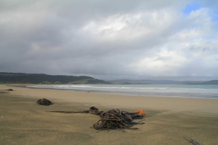Southland and the Catlins