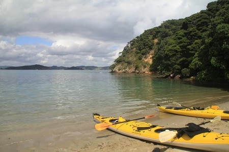 Kayak in the Bay of Islands
