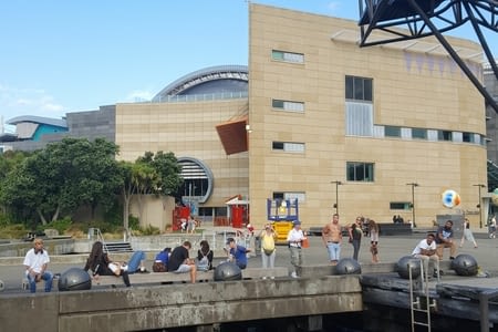 Wellington dernière étape de l’île du Nord !