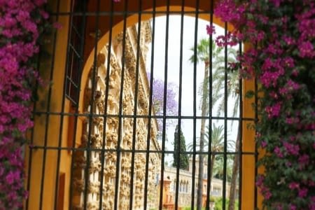 C'est parti pour les visites