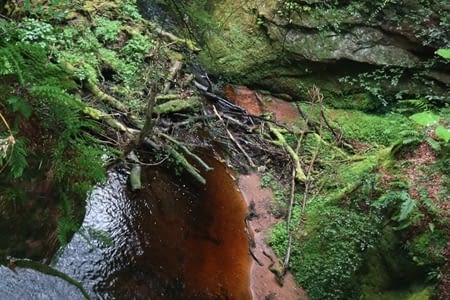 Des Trossachs à Glasgow