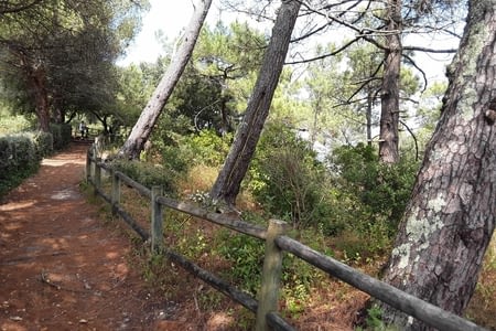 Promenade .....lac de carcans hourtin