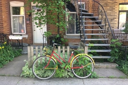 Redécouverte de Montréal, Québec