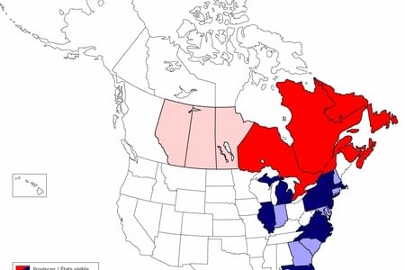 PVT au Canada : bilan 2017