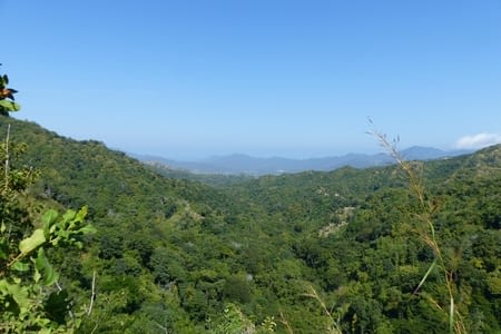 Minca - Taganga - Palomino