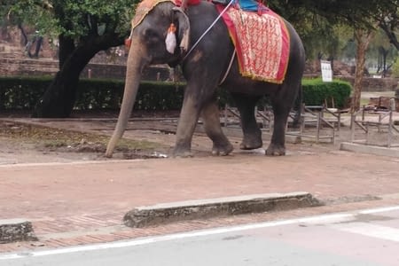 Début de notre aventure