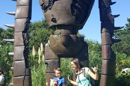 Japon - A la découverte de Miyazaki