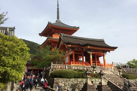 Kyoto: La Belle traditionnelle ?⛩?