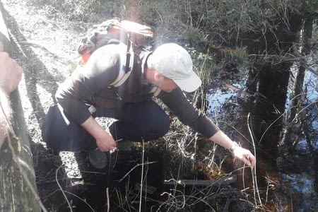 Rencontre 1: Le parc naturel de Migliarino
