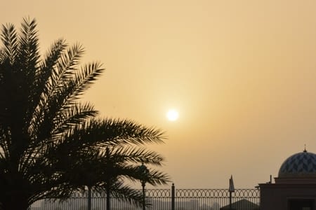 02 - Escale de 2 Jours à Abu dhabi - Premières découvertes, première rencontre, premiers souvenirs